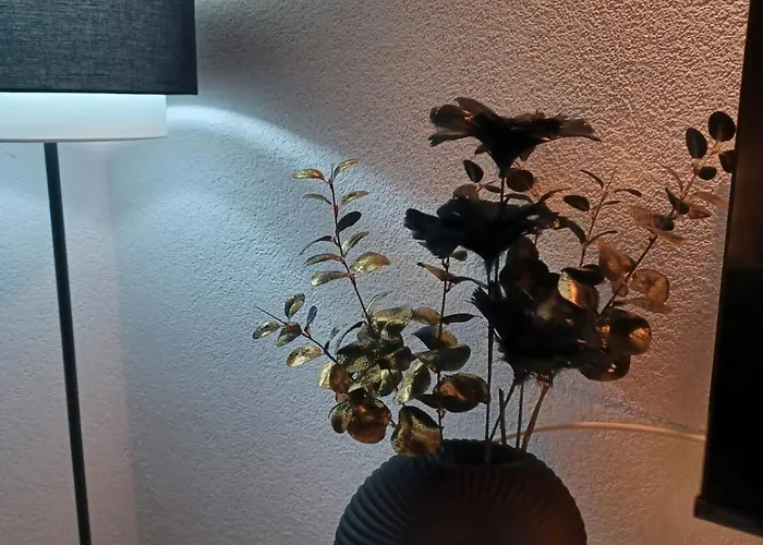 Sonja Apartman Zára